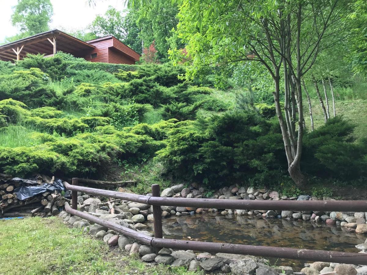 Domek Letniskowy "Domek W Zieleni" Kaszuby Lapino Buitenkant foto