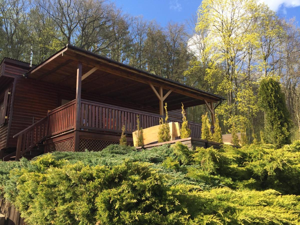 Domek Letniskowy "Domek W Zieleni" Kaszuby Lapino Buitenkant foto